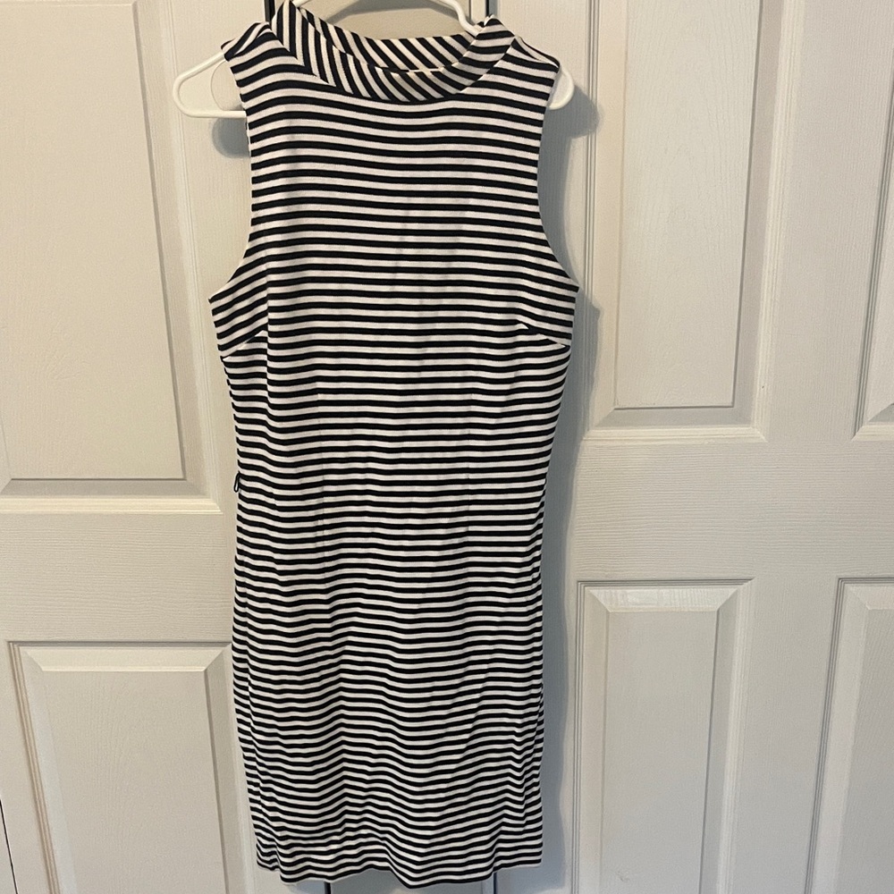 The Limited Navy and White Striped Top